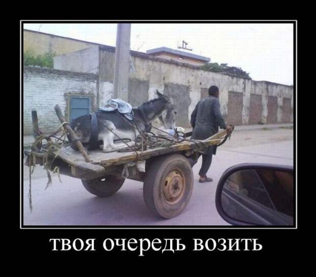 Демотиваторы демотиваторы, юмор