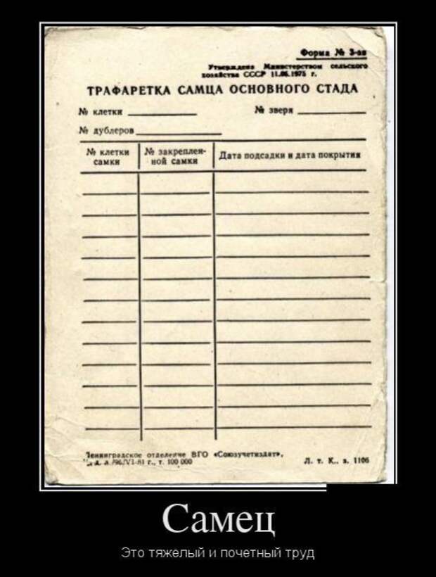 Подборка забавных демотиваторов