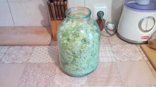 Приготовление меда из бузины