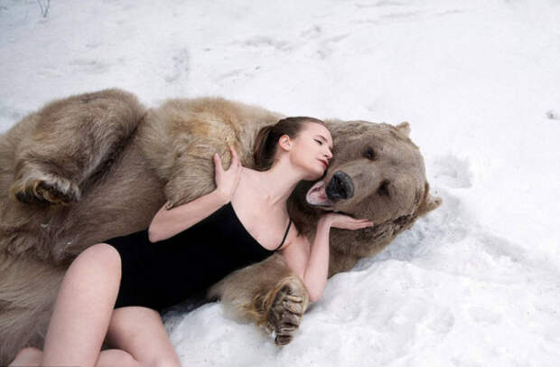 медведь и модели 