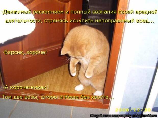 Новая котоматрица для всех (23 фото)