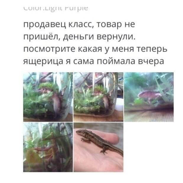 Ну а что Ну а что