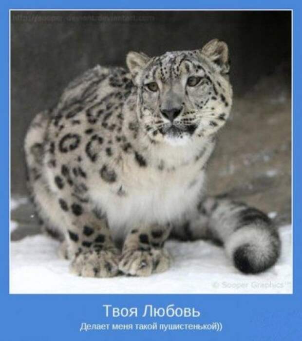мотиваторы