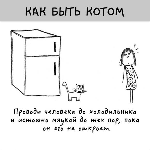 как правильно быть котом