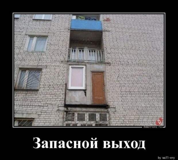 1587452356_demki-11.jpg