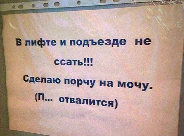25 примеров как общаться с соседями