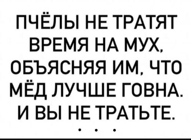 Новые смешные до слёз картинки
