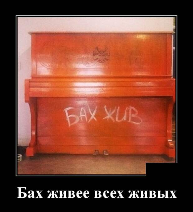 Демотиваторы (30 фото)