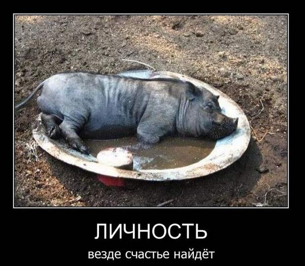 Демотиваторы (44 фото) Демотиваторы (44 фото)