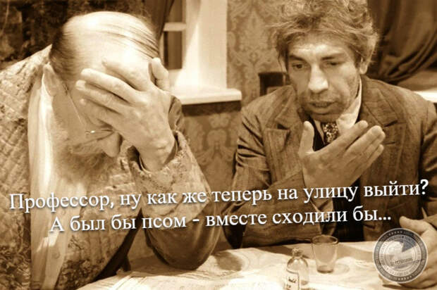 А был бы псом - вместе сходили бы...