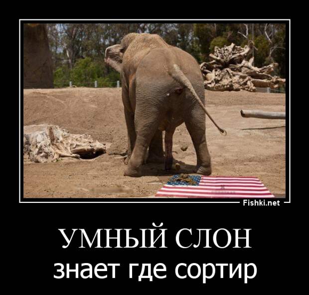 Демотиваторы демотиваторы, прикол, смех, юмор