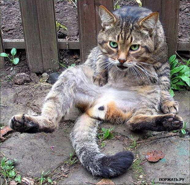 Подборочка фотоприколов (10 фоток)