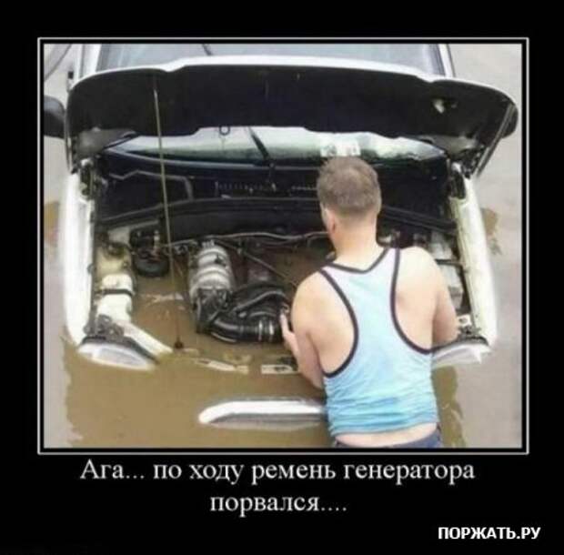 Масса демотиваторов.