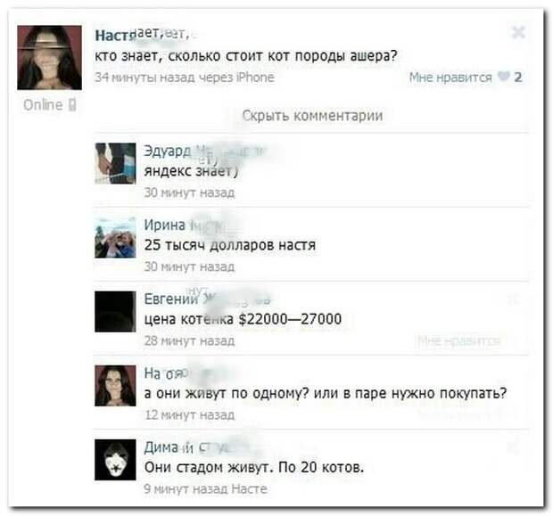 Смешные комментарии из социальных сетей (28 фото)