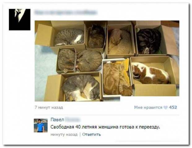 Смешные комментарии из социальных сетей