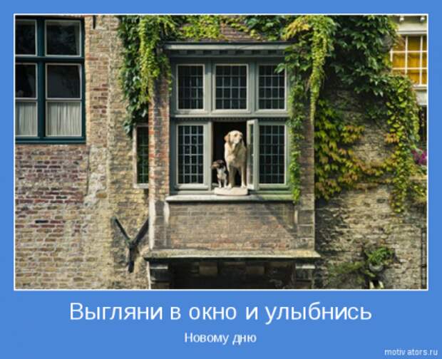 Позитивчик мотиваторы.
