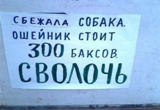 забавные объявления из народа