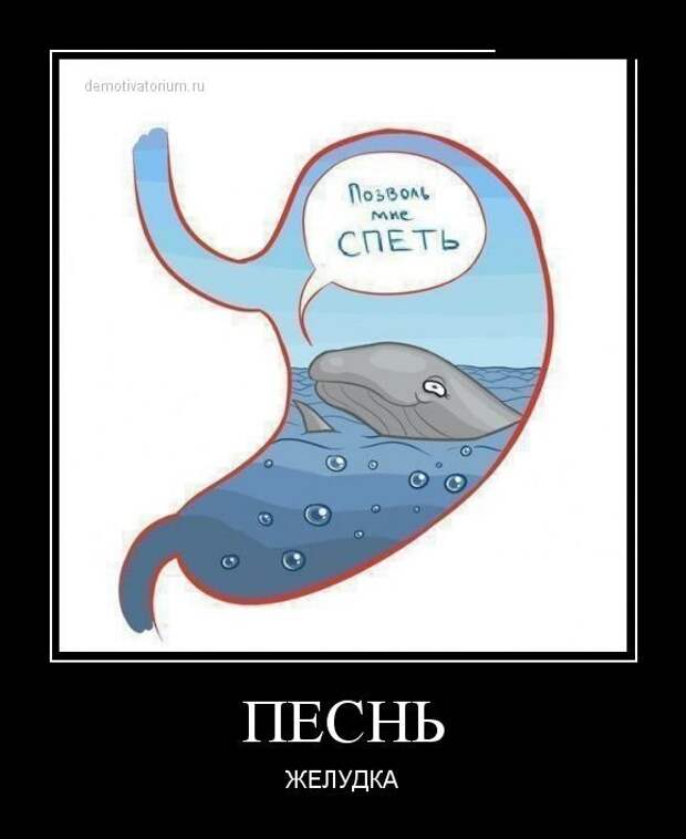 Новый сборник демотиваторов (17 шт)