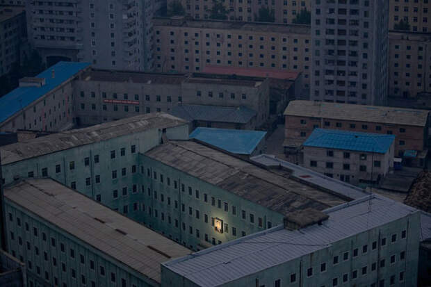 Лучшие фотографии мира на конкурсе World Press Photo 2012