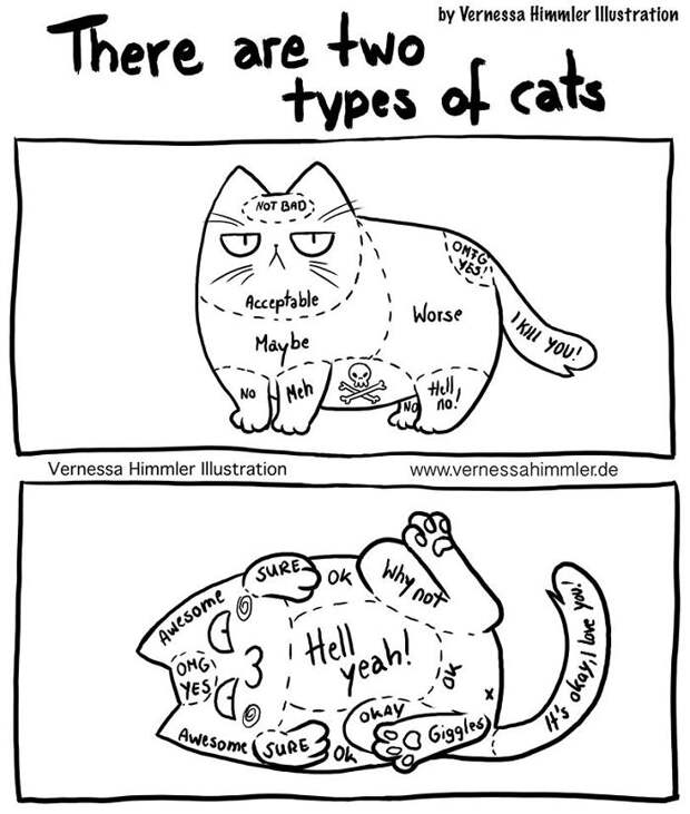 Cat Comics