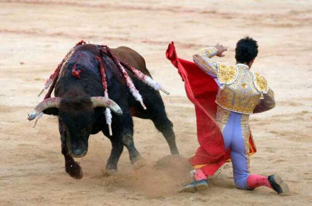 Разрушаем самые популярные мифы (11 фото)