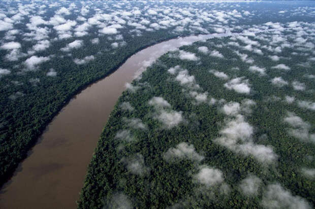 10. Река Ориноко среди дождевых лесов Амазонии, Венесуэла