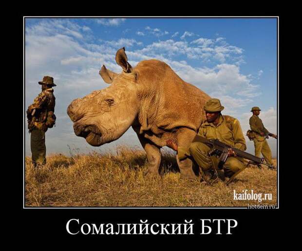 Весёлые демотиваторы - 262 (50 демотиваторов)