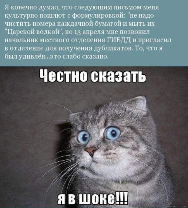 Дорожная история со счастливым концом замена, стертые номера