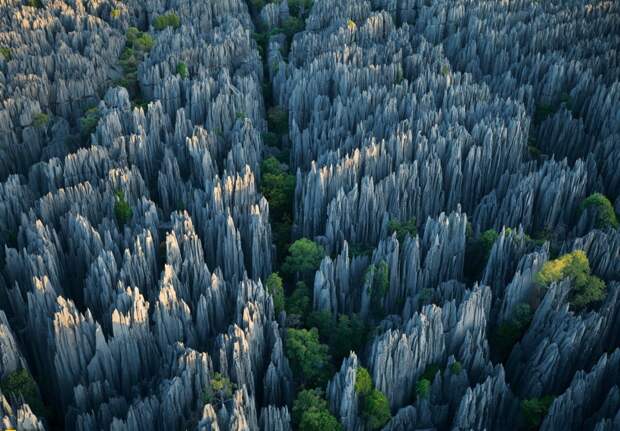 11. Каменный лес на Мадагаскаре. природа, удивительные фотографии, фото