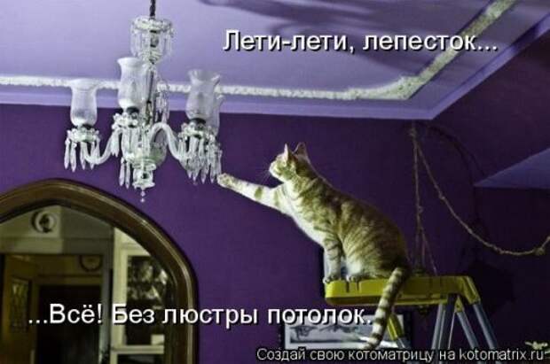 Котоматрица на Бугаге (34 фото)