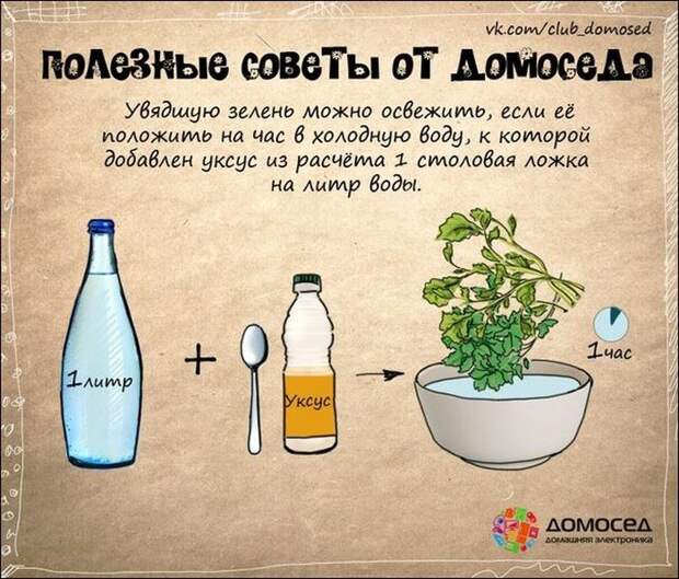 Полезные советы полезно знать, советы