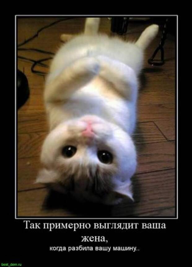 Демотиваторы, смешно, прикльные подписи и фотки.