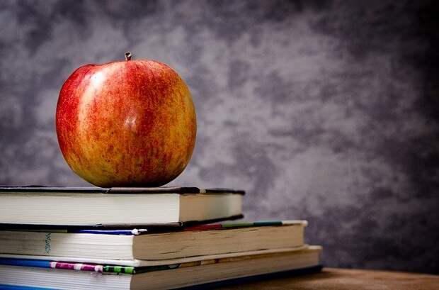 В Соколовке собрали партию книг для детей-сирот
