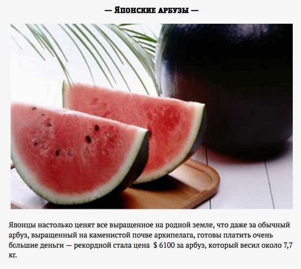 Самая дорогая еда на планете Еда, Гурман, Дорогие продукты, Удивительный мир вокруг нас, Длиннопост