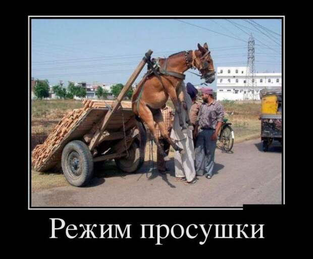 Подборка демотиваторов демотиватор, юмор