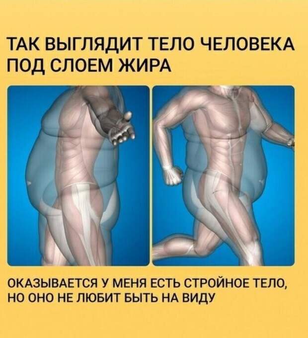 А оно очень спортивное... просто скрыто под слоем жира А оно очень спортивное... просто скрыто под слоем жира
