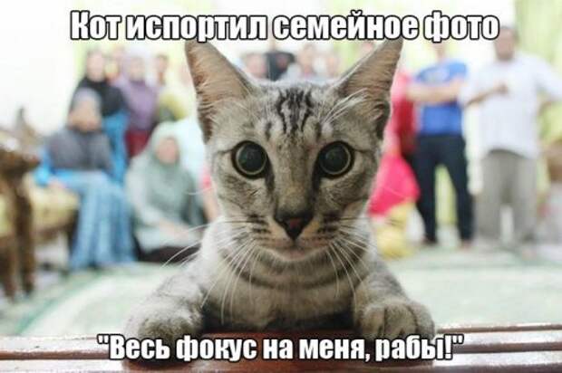 Прикольные картинки дня (36 шт)