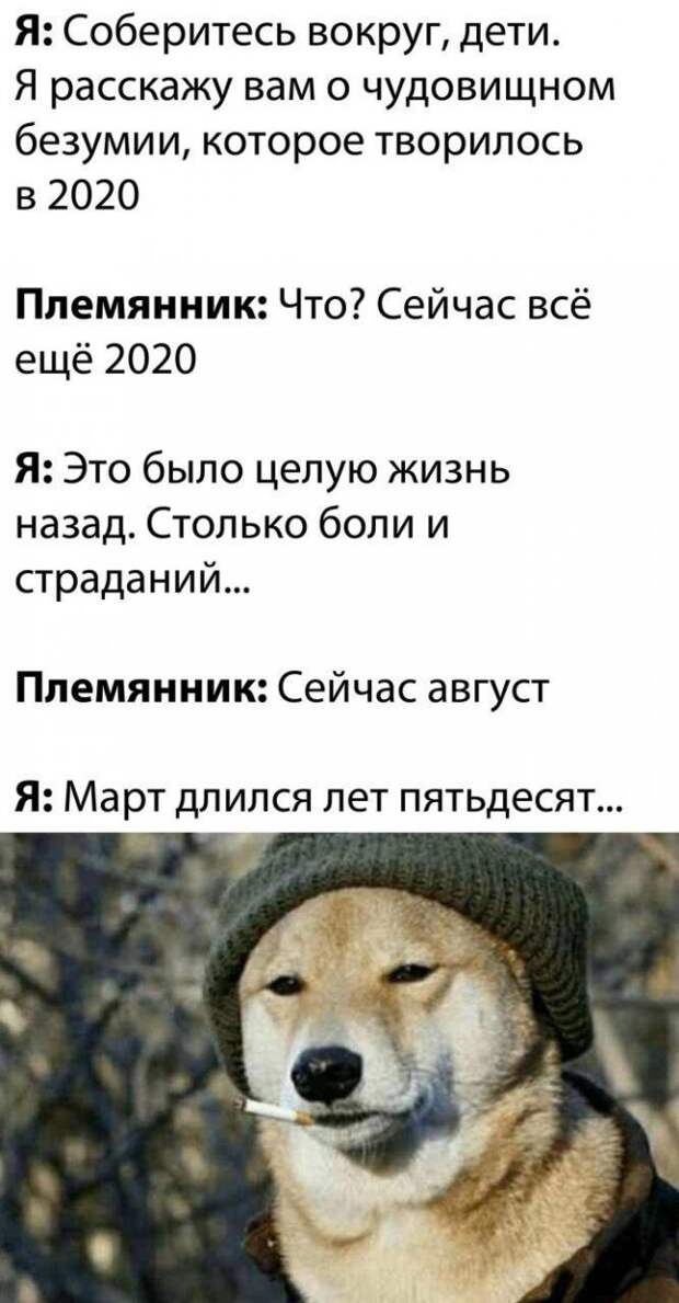 Шутка про 2020-й год