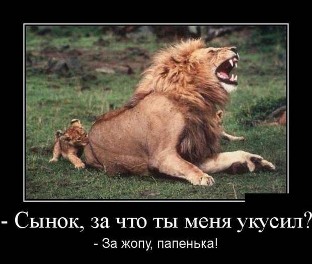 Демотиваторы (30 фото)