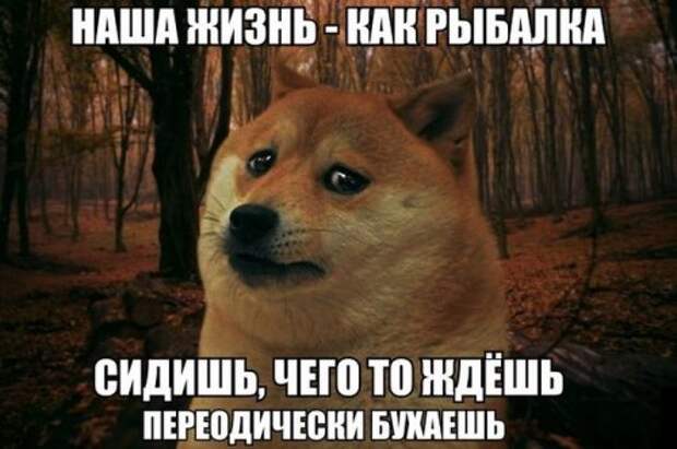 Пятничные прикольные картинки и фото (51 шт)