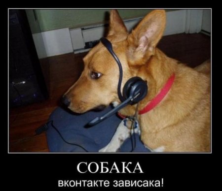 Просто прикольные демотиваторы.