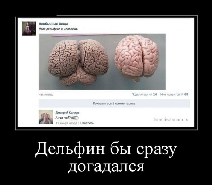Демотиваторы демотиваторы