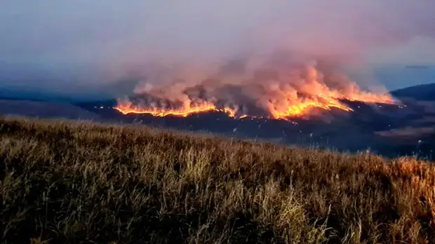 Причиной пожара у границ нацпарка в Приморье мог стать поджог
