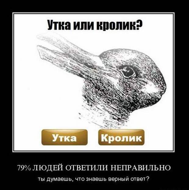 Демотиваторы (45 фото)