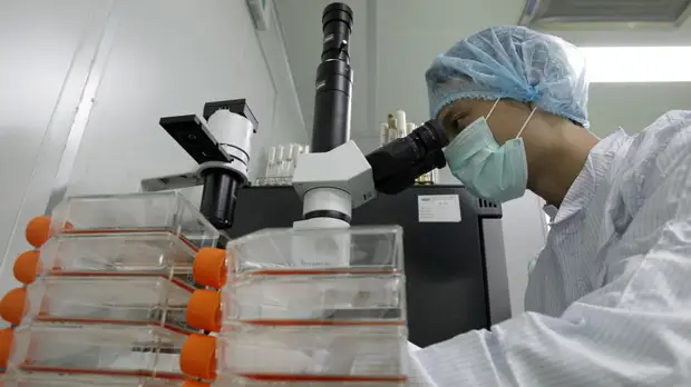 В ЕС приступили к оценке китайской вакцины от коронавируса Vero Cell