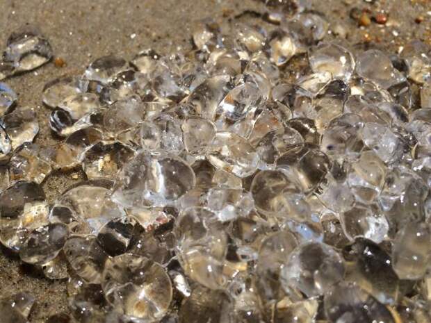 02salps.ngsversion.5fc4ef37476797326a9808a405ba9f0f.adapt.676.1