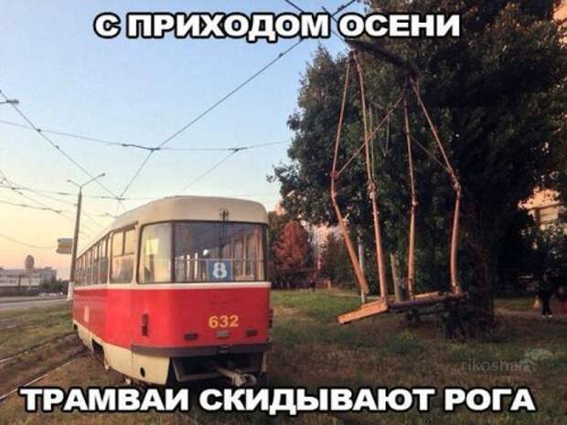 Прикольные картинки и фото (41 шт)