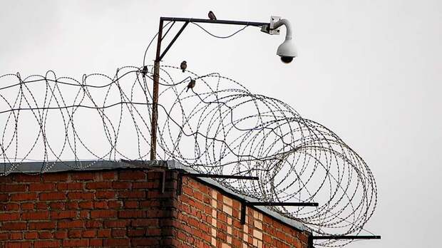 Прокурор запросил четыре года бойцу ММА Алиеву по делу об избиении девушки