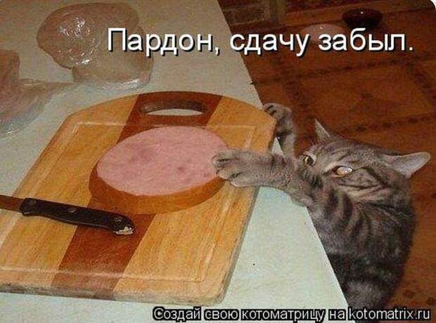 Прикольные фотографий животных с подписями