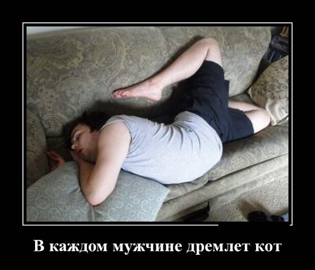 Демотиваторы (30 фото)